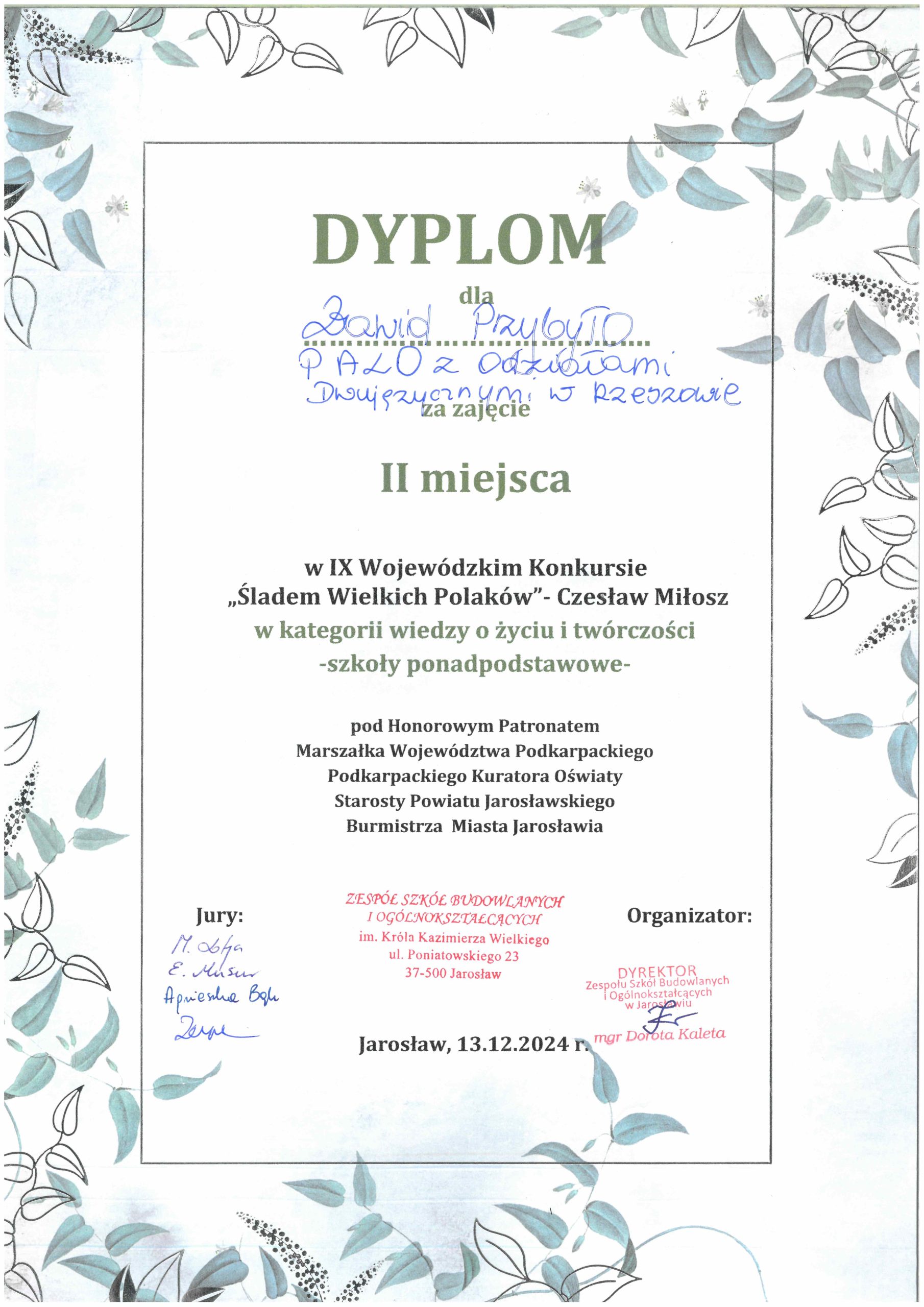 Dawid Przybyło - II miejsce - Śl